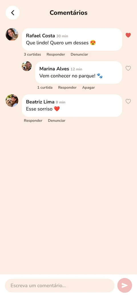 Comentários